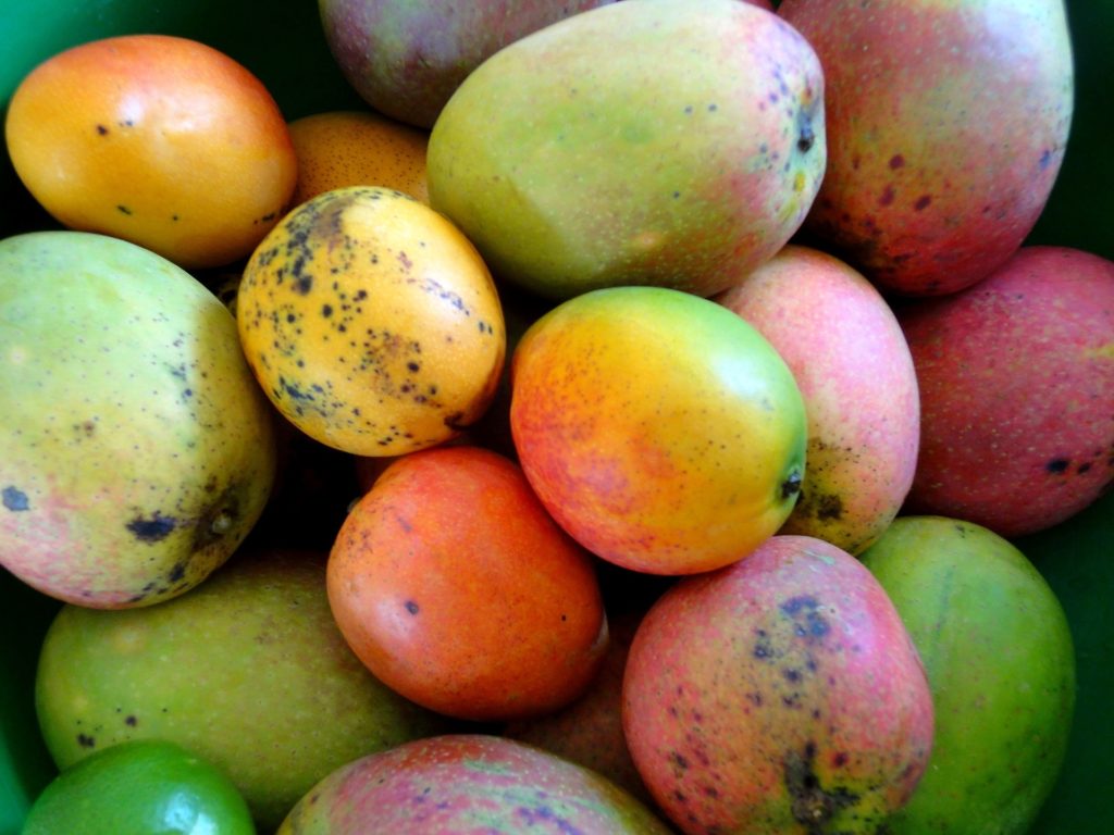 Mangos